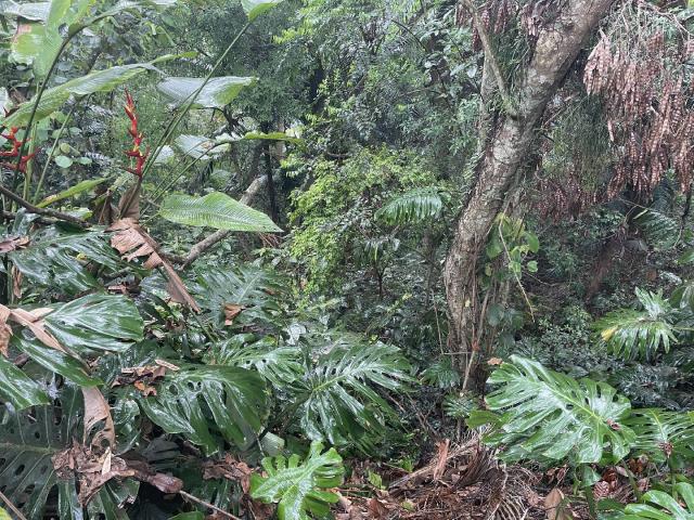 Terreno para Venda em Carapicuíba - 2