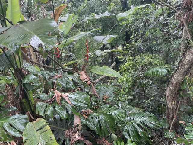 Terreno para Venda em Carapicuíba - 1