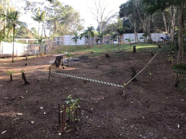 #2281 - Terreno para Venda em Cotia - SP - 1